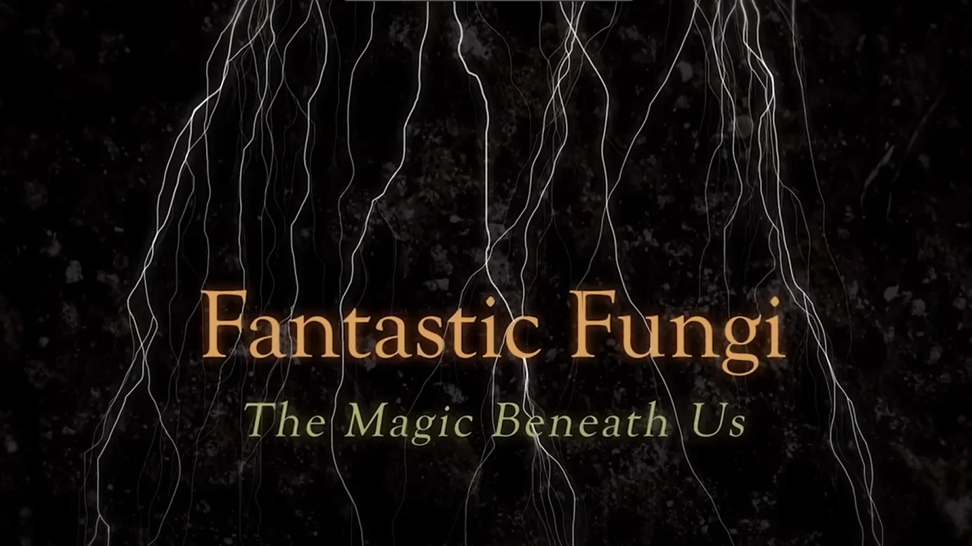 Fantastic Fungi